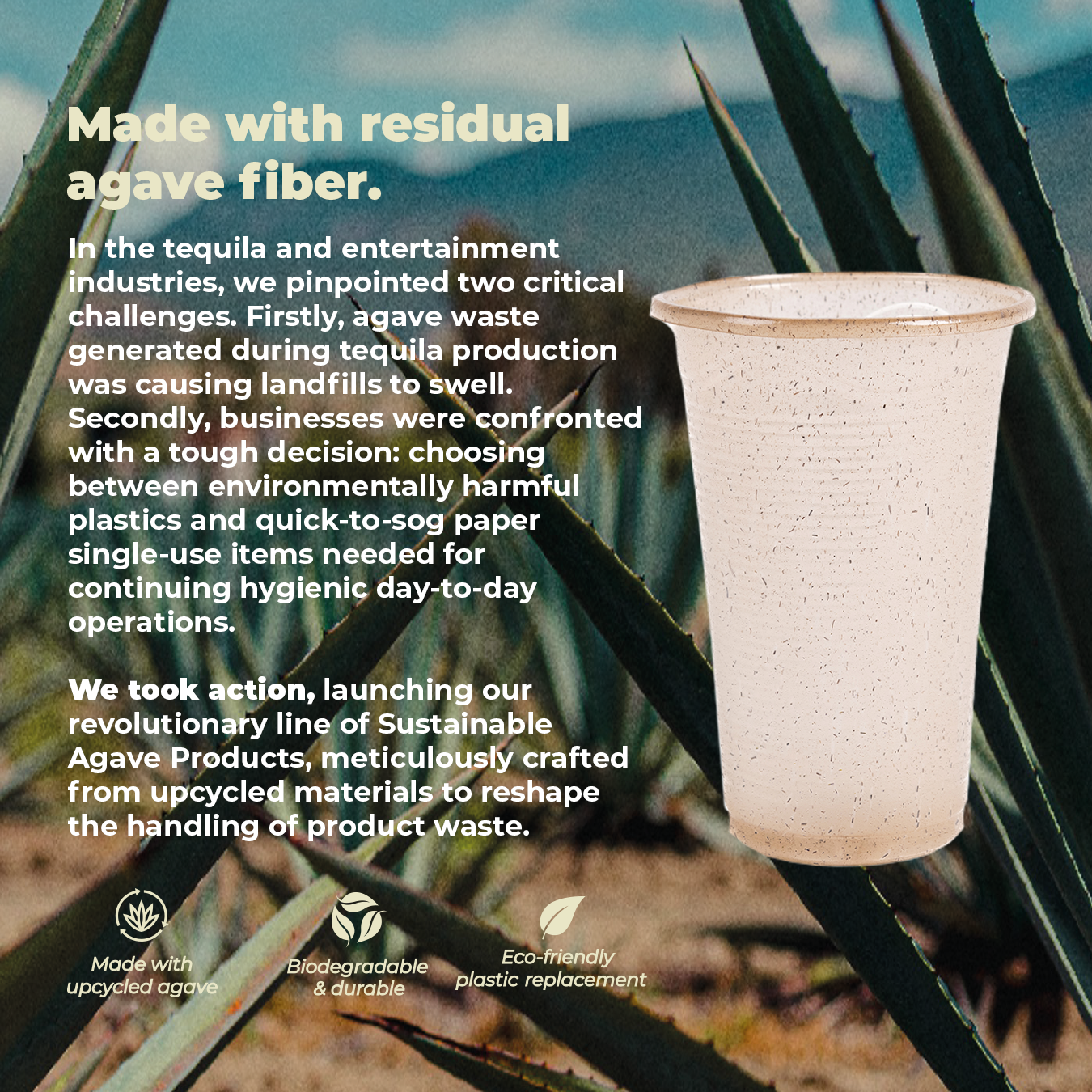 Biodegradable Agave Clear Cups