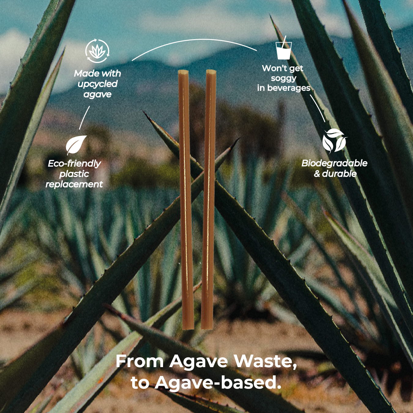 brown agave straw infographic