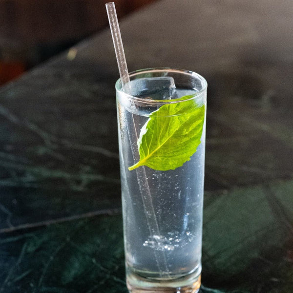Sustainable Clear Agave-Based Straws (Wrapped)