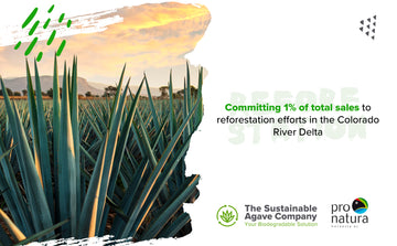 Sustainable Agave commits 1% of sales to reforesting the Colorado River Delta