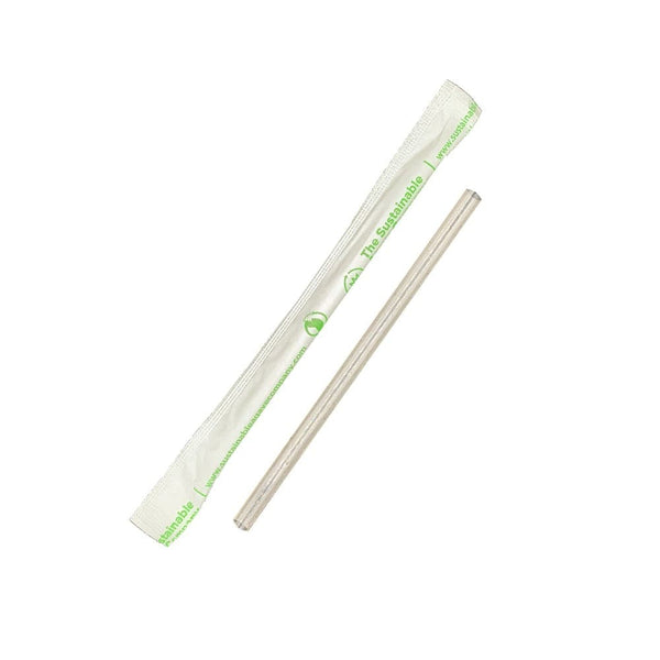 A single reusable clear plastic straw shown next to its white paper sleeve with green text and recycling symbols, on a plain white background.