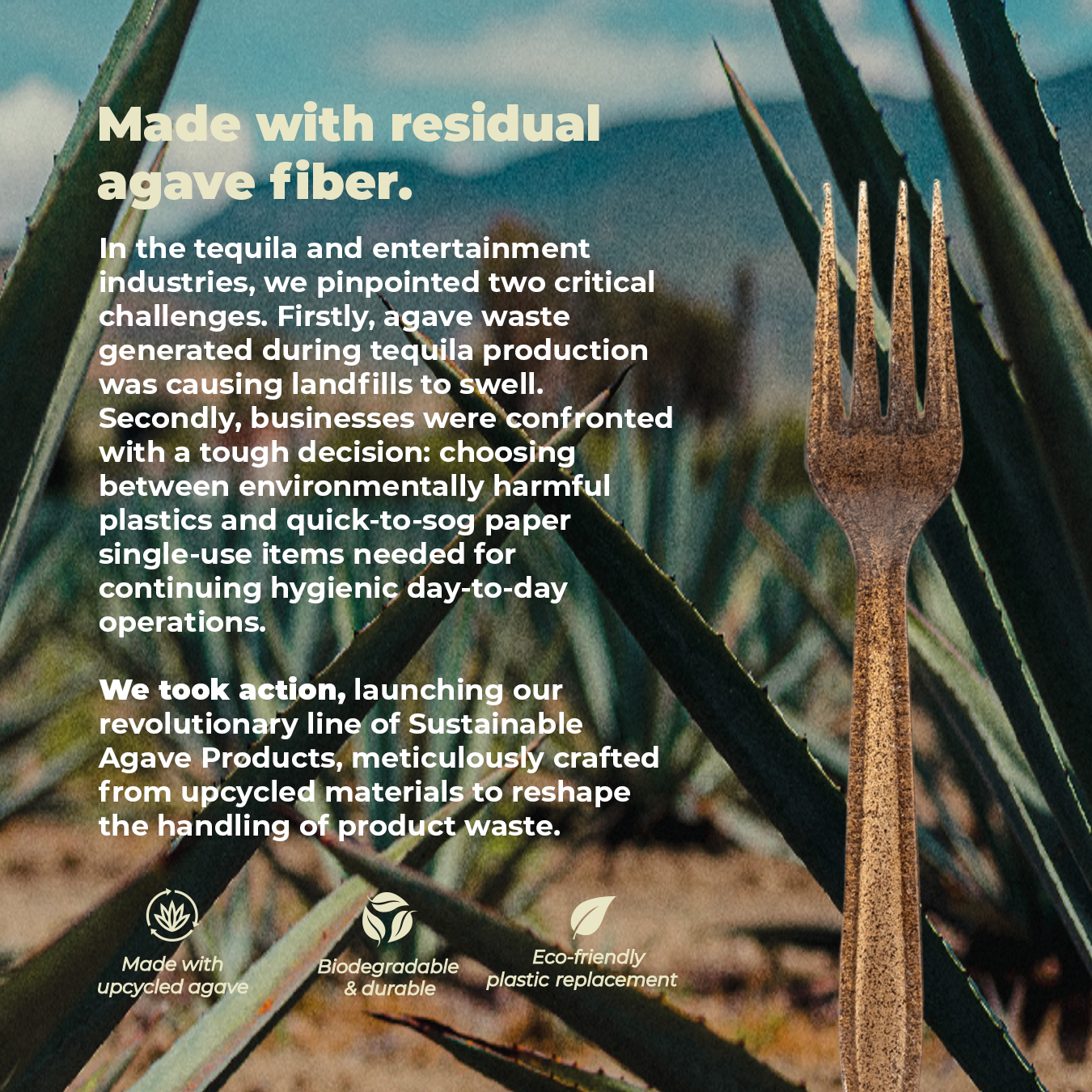 second infographic for brown fork made of agave