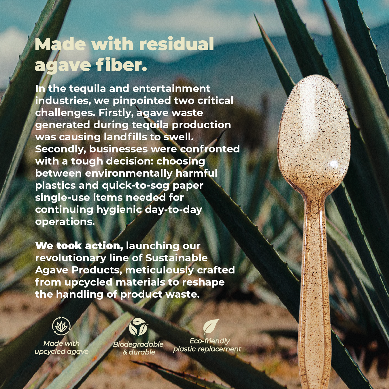 second infographic for brown spoon made of agave