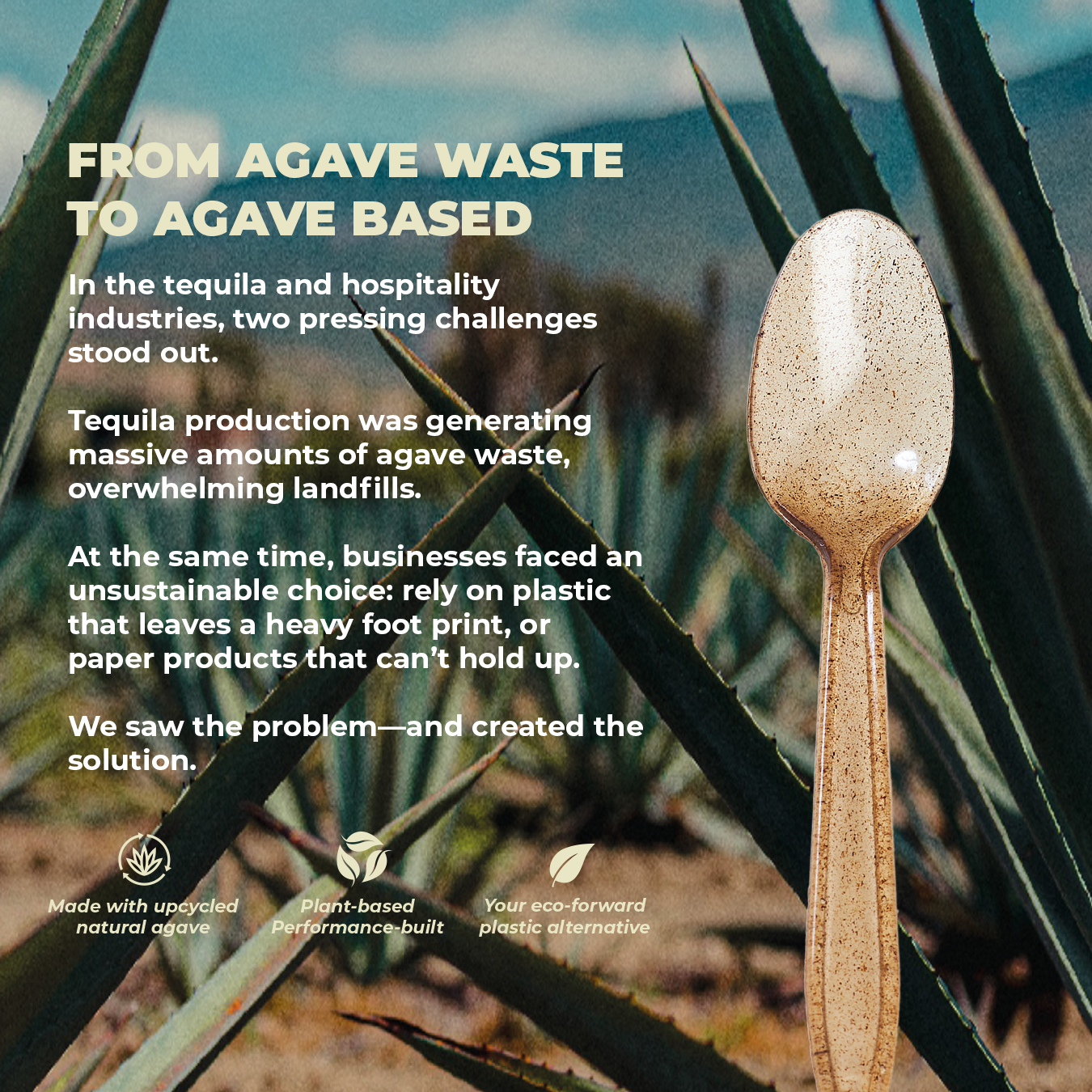 Retail Packs - Agave Fiber Spoons - 24 Count - Brown Cutlery (20 Pack/Case)