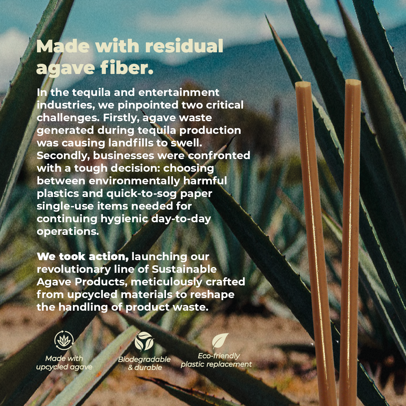 brown agave straw second infographic