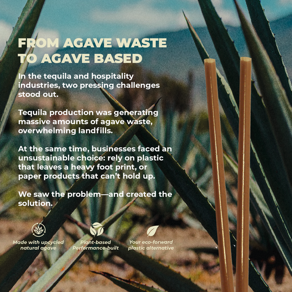 Retail Packs - Agave Fiber Straws - Regular, 8", Unwrapped - 100 Count (16 Pack/Case)