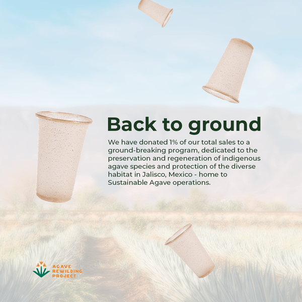 Sustainable Agave-Based Cups (Clear)