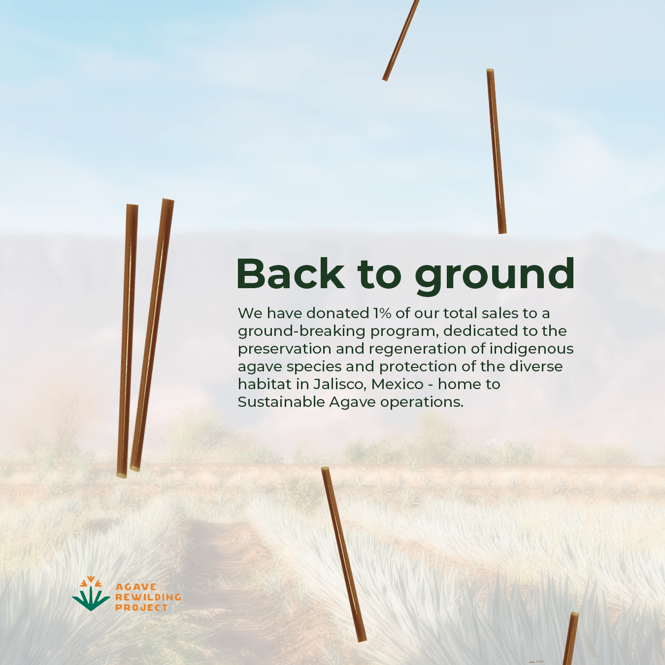 brown agave straw charity infographic