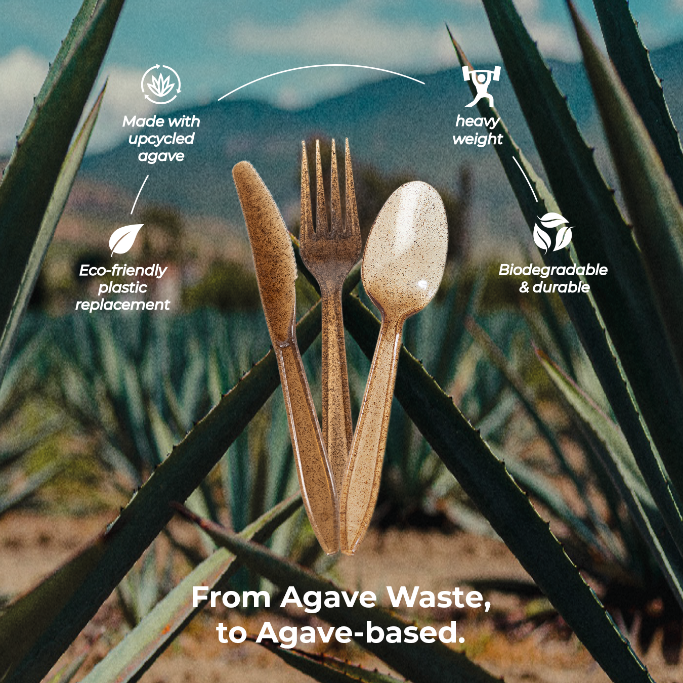 Brown Agave Cutlery Infographic