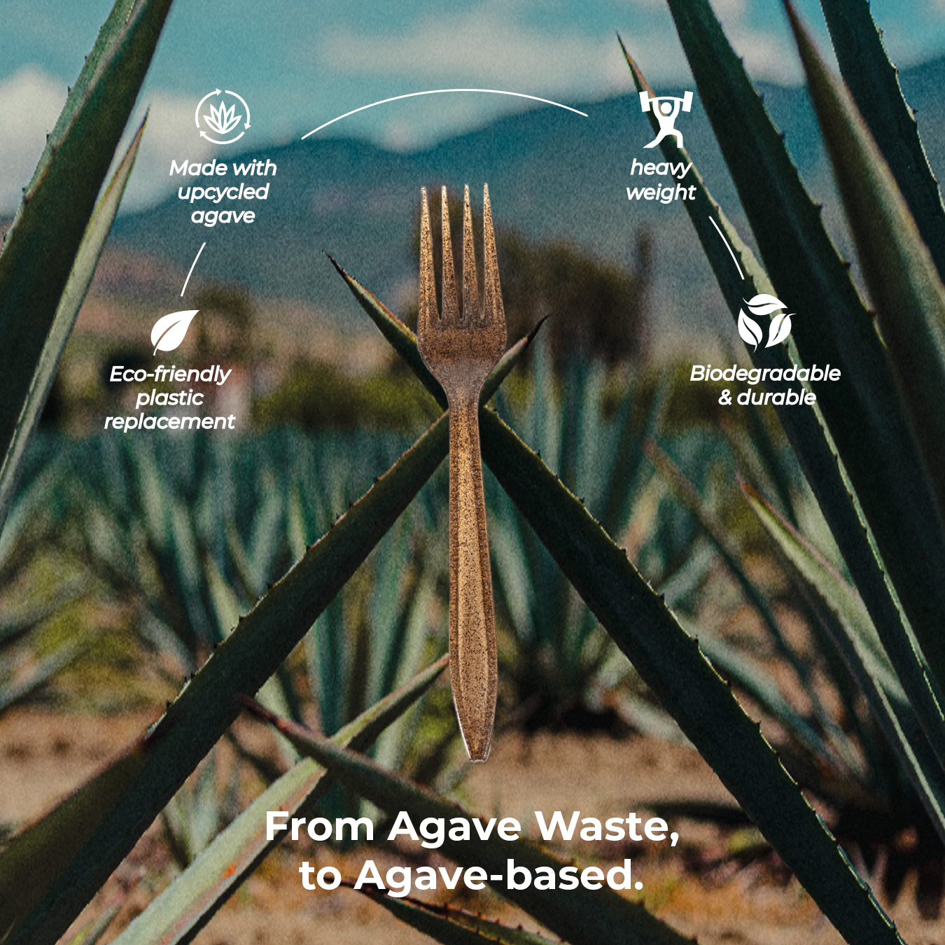 Infographic for brow spoon made from agave