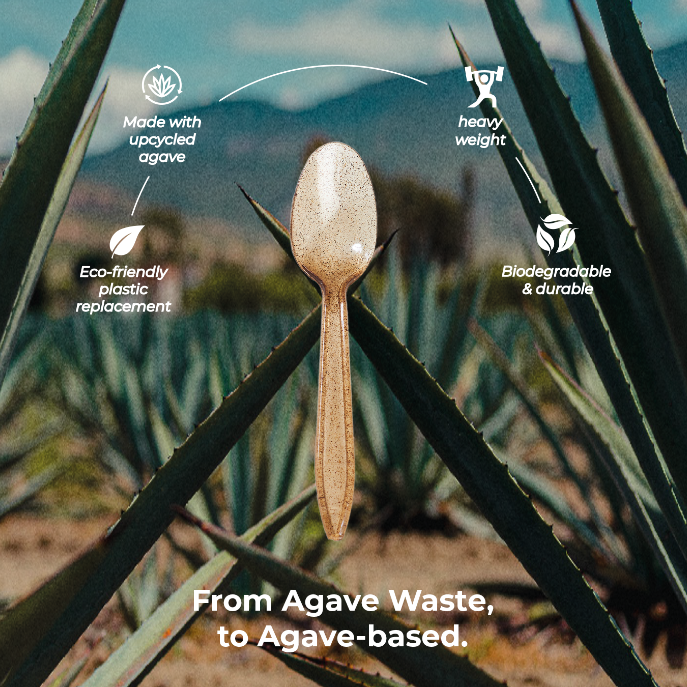 Infographic for brown spoon made from agave