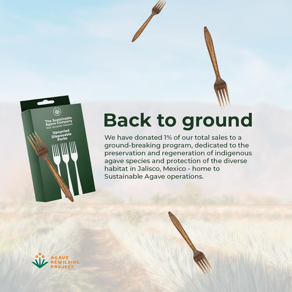 Retail Packs - Agave Fiber Forks - 24 Count - Brown (20 Pack/Case)
