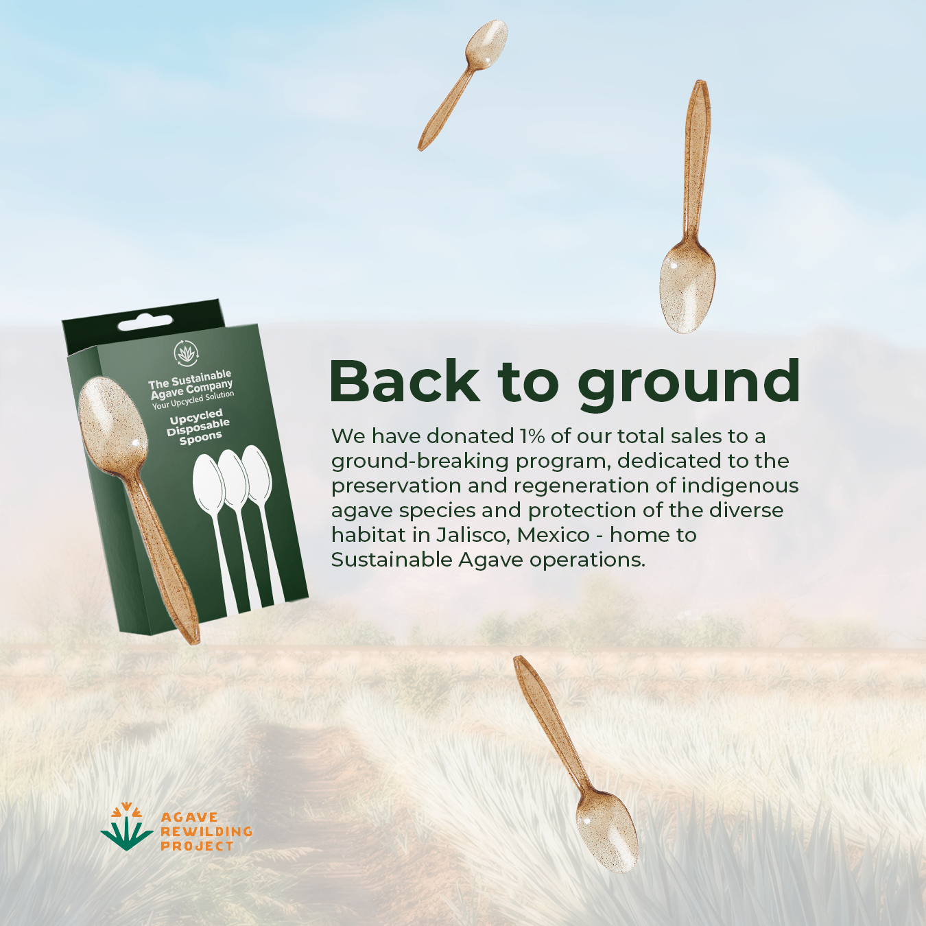 Retail Packs - Agave Fiber Spoons - 24 Count - Brown Cutlery (20 Pack/Case)