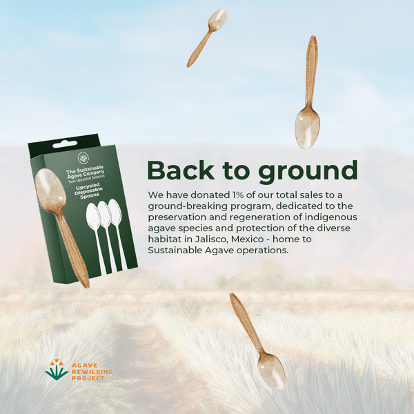 Retail Packs - Agave Fiber Spoons - 24 Count - Brown Cutlery (20 Pack/Case)