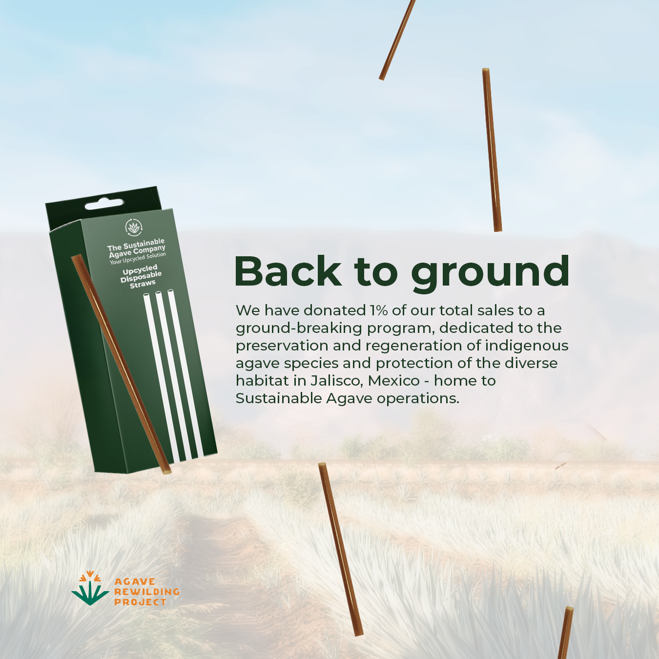 Retail Packs - Agave Fiber Straws - Regular, 8