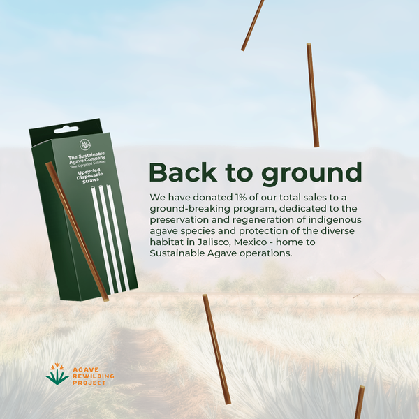 Retail Packs - Agave Fiber Straws - Regular, 8", Unwrapped - 100 Count (16 Pack/Case)