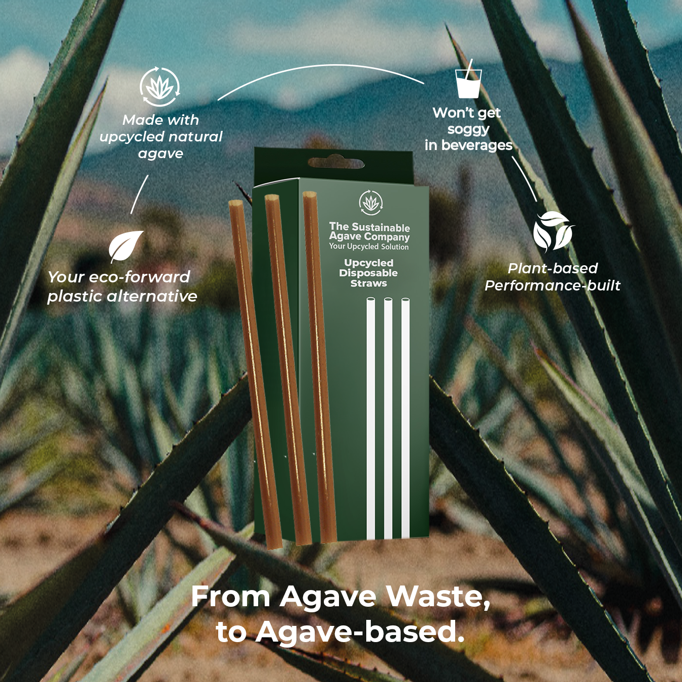 Retail Packs - Agave Fiber Straws - Regular, 8